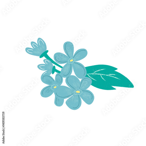 blue flower isolated on white background. Hand drawn summer flowers in spring season illustration