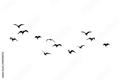 vector silhouette of a flock of flying birds