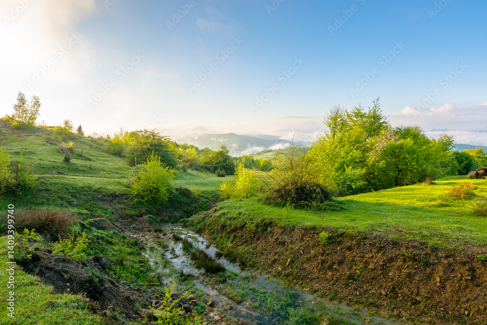 mountain landscape with fog and clouds. deciduous woods on the grassy hill. sunny morning in spring