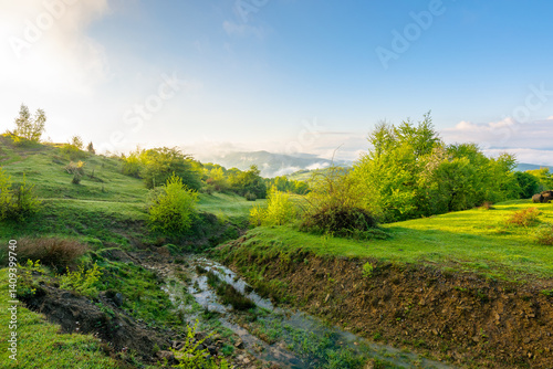 Obraz na płótnie mountain landscape with fog and clouds. deciduous woods on the grassy hill. sunny morning in spring w salonie
