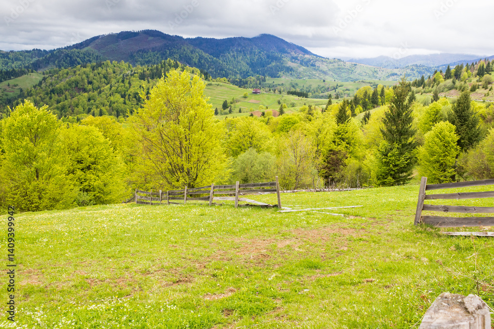 wooden fence near meadow on the hill. mountainous rural landscape of transcarpathia in spring. beautiful view of countryside with grass on field and forested on hillside beneath a cloudy sky