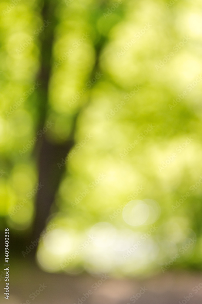green nature background. forest outdoor in blur. fresh spring