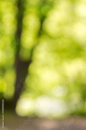 Obraz na płótnie green nature background. forest outdoor in blur. fresh spring w salonie