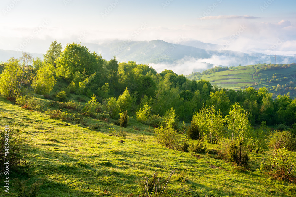 scenic view of nature in fog and clouds. fresh air on a sunny morning. deciduous forest on the hills in spring. rural valley in the distance. picturesque ukraine