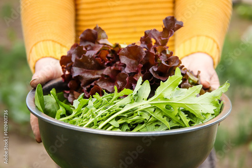 Obraz na płótnie Freshly harvested arugula leaves in a bowl held by a woman hand, set against a lush green farm or garden background. The vibrant greenery w salonie