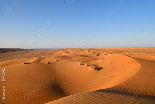 Dunes of Rub Al Khali desert. Wahiba Sands. Sultanate of Oman.