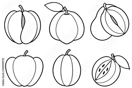 sapodilla line art vibrant clean modern graphic design