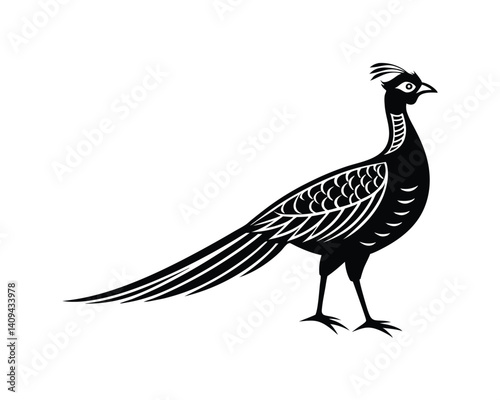 Pheasant silhouette isolated on a white background