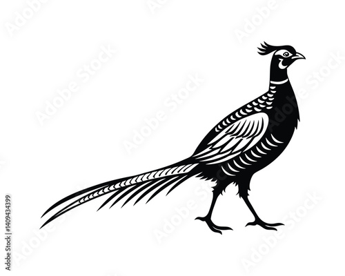 Pheasant silhouette isolated on a white background