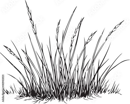 Patch of Grass, Meadow Field Lawn, Black and White Vector Illustration, Sketch Drawing Line Linear Symbol Icon Engraving, Hand-drawn Isolated