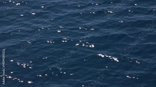 Navigating the open sea