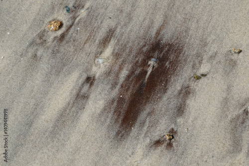 Coastal Textures on Wet Sand
