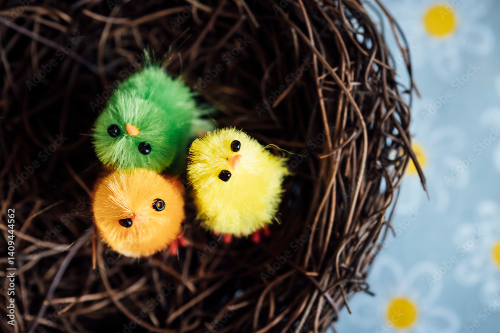 Décoration pour les fêtes de Pâques - Mignon Petit poussin coloré en poils dans un nid