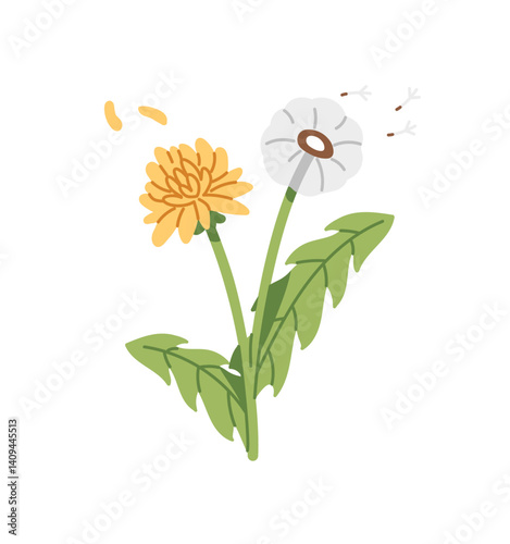 Yellow and wind blowing dandelion. Wildflower, taraxacum flower. Boom meadow plant with leaves. Wild blossom flora, field nature. Floral decor. Flat isolated vector illustration on white background