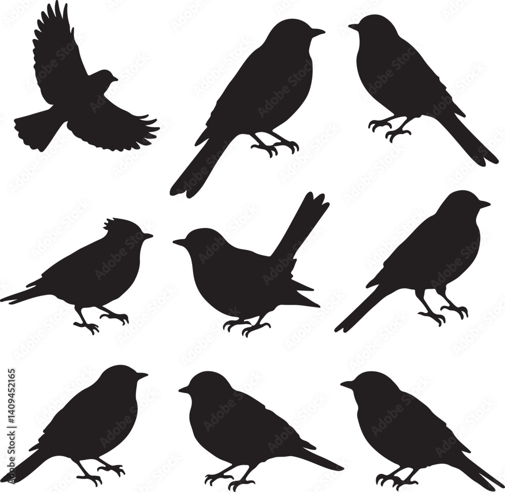 Obraz premium set of birds silhouettes