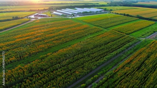 Aerial view of golden wheat fields with a solar panel station, merging clean energy and farming to promote sustainability and rural environmental innovation