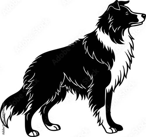 Majestic Border Collie Dog Breed Profile Standing in Elegant Black and White Silhouette against Transparent Background