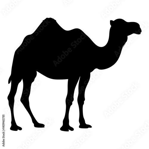 Majestic Camel Silhouette against White Background Desert Animal Vector Illustration