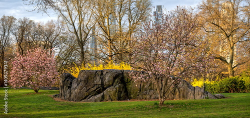 Obraz na płótnie Central Park in spring w salonie