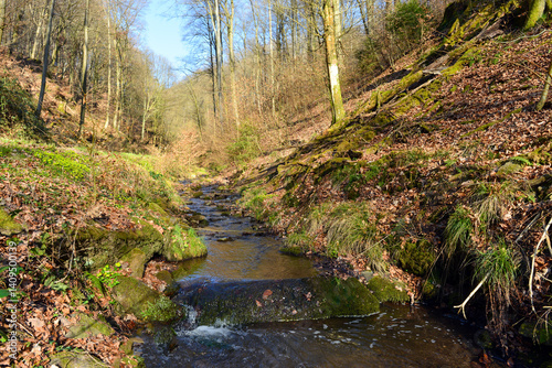 Rückersbacher Schlucht in Johannesberg/Aschaffenburg (Bayern)