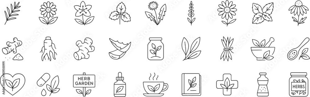 Medicinal herbs line icon set. Vector pictograms of echinacea, ginger, turmeric, lavender, rosemary, calendula, lemon balm, dandelion, st johns wort, thin linear illustration. Medicinal herbs line icon set. Vector pictograms of echinacea, ginger, turmeric, lavender, rosemary, calendula, lemon balm, dandelion, st johns wort, thin linear illustration.