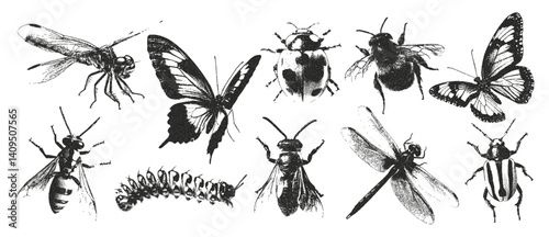 Vintage insect retro photocopy effect. Vector retro butterfly, wasp, bumblebee, dragonfly elements.