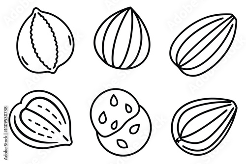 hazelnut line art sketch with clean simple elegant strokes