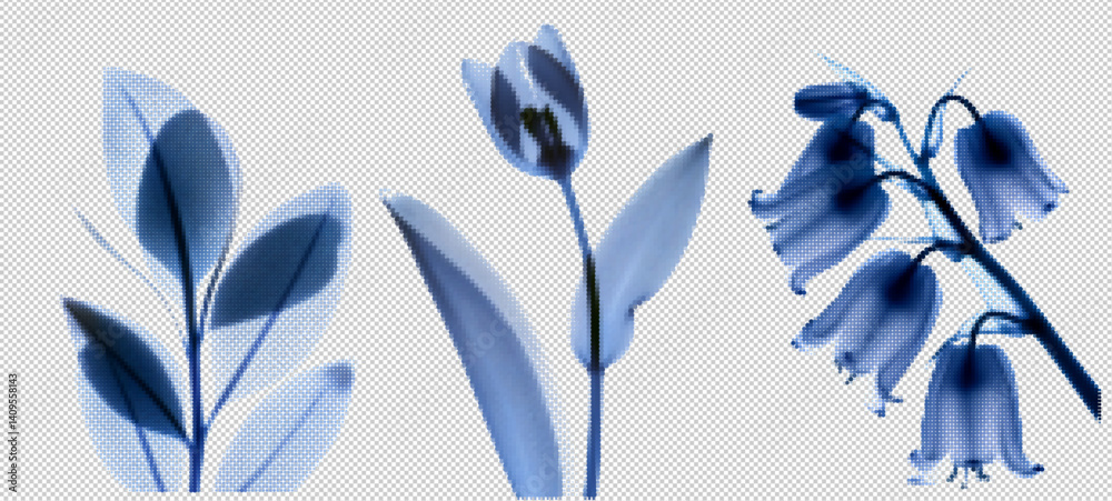 Fototapeta premium Explore a unique collection of transparent flower-inspired graphics with vintage touches, featuring blue grunge elements and xray-like textures reminiscent of 90s retro aesthetics