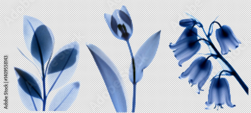 Explore a unique collection of transparent flower-inspired graphics with vintage touches, featuring blue grunge elements and xray-like textures reminiscent of 90s retro aesthetics