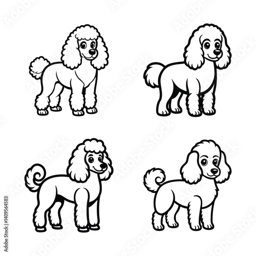 Poodle dog