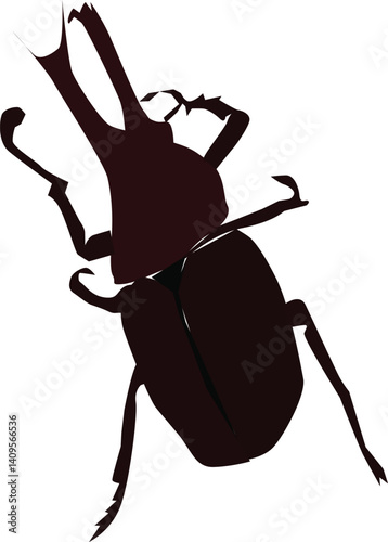 black beetle isolated on white