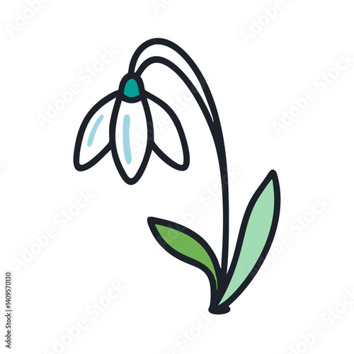 Snowdrop illustration isolated on black background for spring