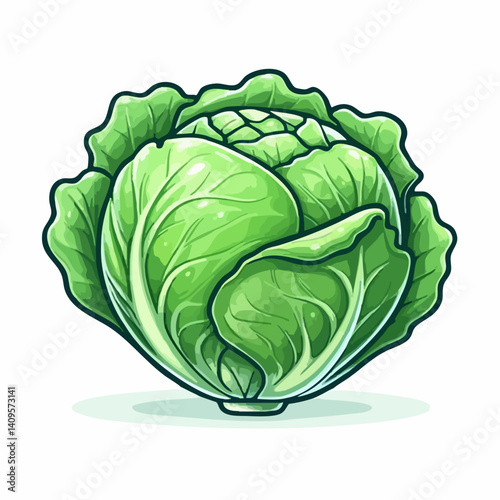 Fresh Green Cabbage Vegetable Illustration. Vector Image