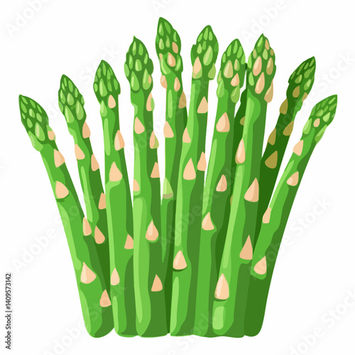 Fresh Green Asparagus Bunch Illustration. Vector Image
