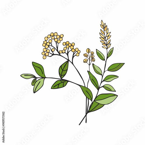 Floral Botanical Illustration Green Yellow Leaves Stems Blossoms. Vector Image