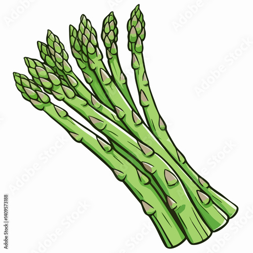 Fresh Green Asparagus Bundle Illustration. Vector Image