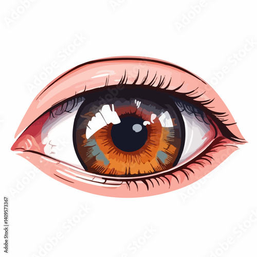 Detailed Vector Illustration of a Human Eye. Vector Image