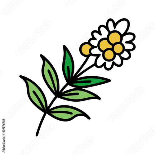 Simple Olive Branch with Berries on Black Background