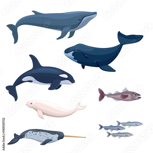 Arctic marine life - mammals and fish. Vector Illustration
