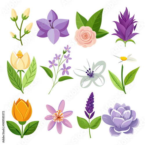 Collection of colorful floral vector illustrations on white