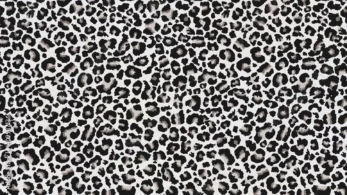 Obraz White leopard pattern. Seamless vector background with animal skin. Fashionable snow leopard fur. Modern spotted fabric design for clothes and linen.