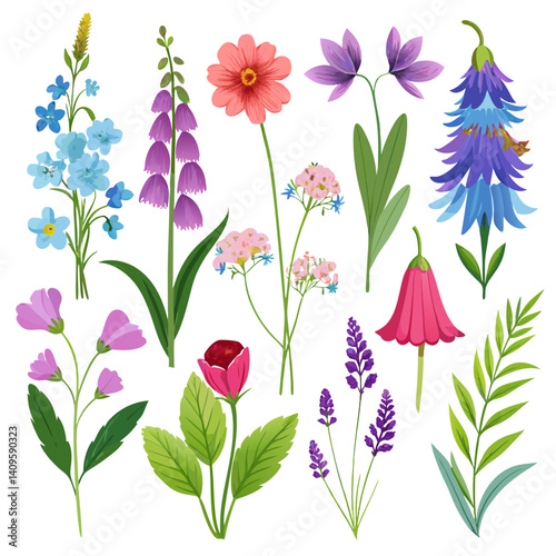 Assorted Elegant Flower Stems Isolated on White Background