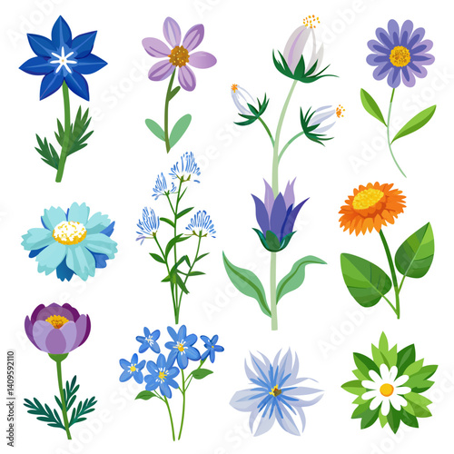 Assorted colorful whimsical flower set with white background