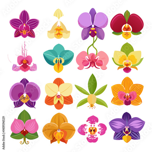 Assorted Orchid Flower Collection: Colorful Botanical Vector Illustration