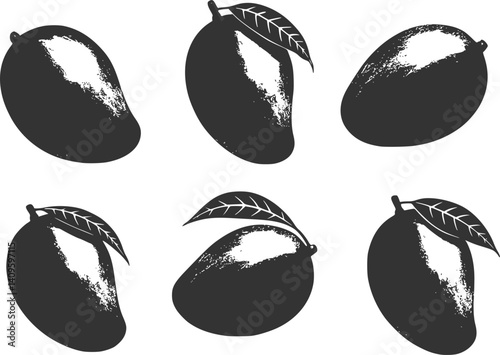 set of modern mangoes illustrated by hand - black and white mangoes isolated on a white background