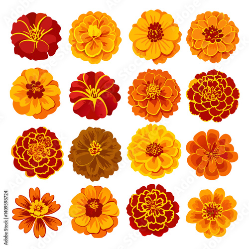 Vibrant Collection of Marigold Flowers Vector Illustration