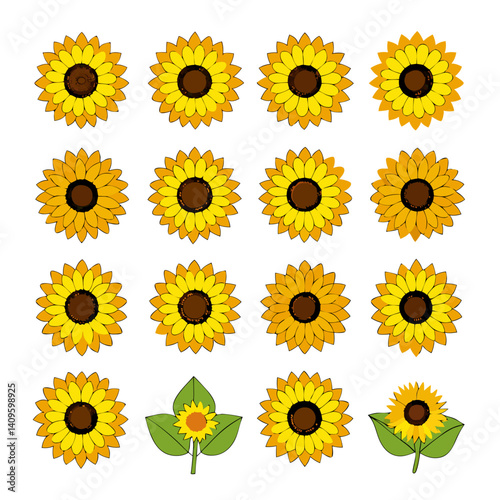 Assortment of sunflowers with different variations, isolated on white