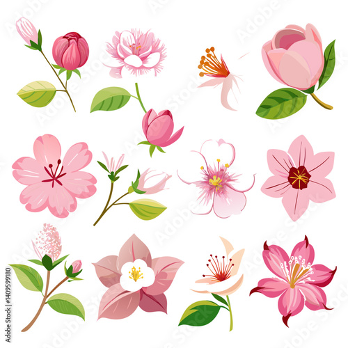 Pink Flower Illustration Set: Floral Design Elements for Spring