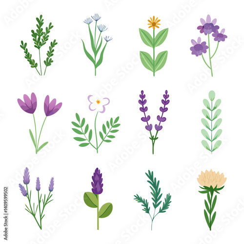 Twelve illustrations of different spring or summer flowers