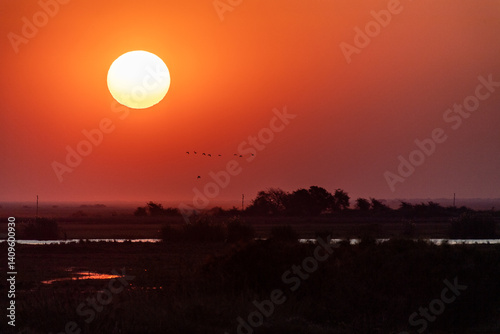 Telephoto shot of the setting sun over the chobe river on a bright winter afternoon in Botswana.